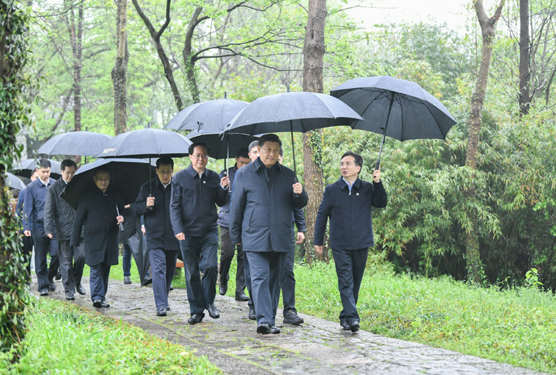 3月29日至4月1日，中共中央总书记、国家主席、中央军委主席习近平在浙江考察。这是3月31日，习近平在杭州西溪国家湿地公园察看湿地保护利用情况。